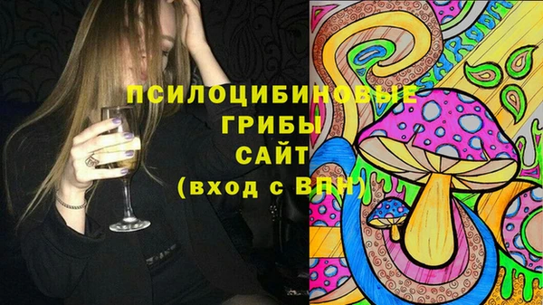 спайс Белокуриха